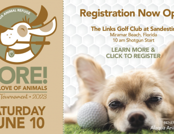 FORE! The Love of Animals golf tournament flyer