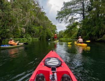people kayaking and paddleboarding along a Florida river
