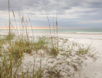 dune view of ocean in Florida