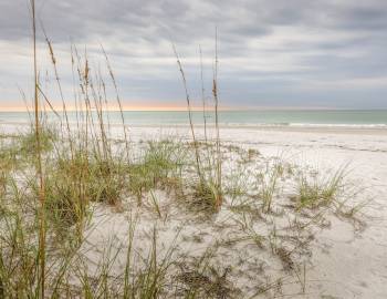 dune view of ocean in Florida