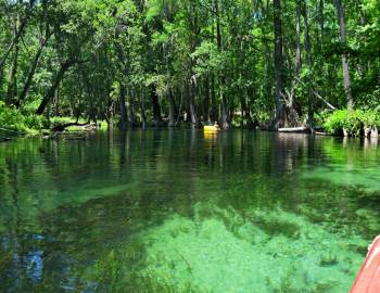 Kayaking the Ichetucknee River, Ichetucknee Springs State Park, Florida.