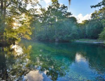 manatee springs, Florida