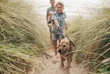 family walking dog on beach