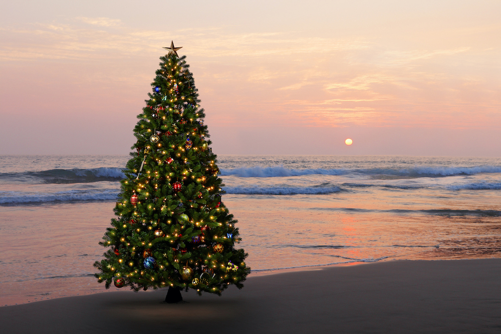 Christmas tree on beach at sunset